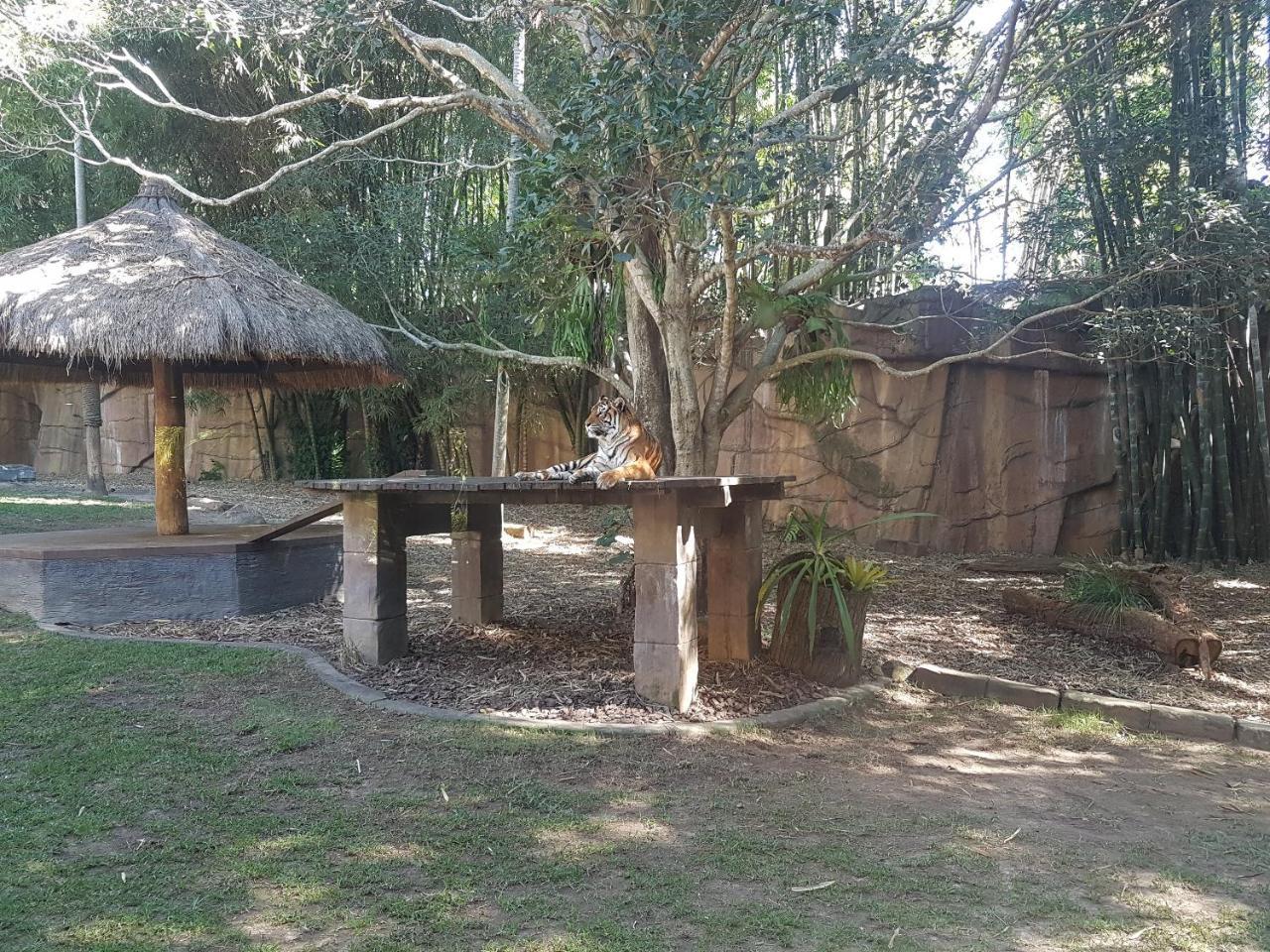 Villa Beerwah House Exterior foto